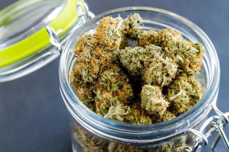 Legalisation and E-Commerce: The Rise of Mail Order Marijuana Services