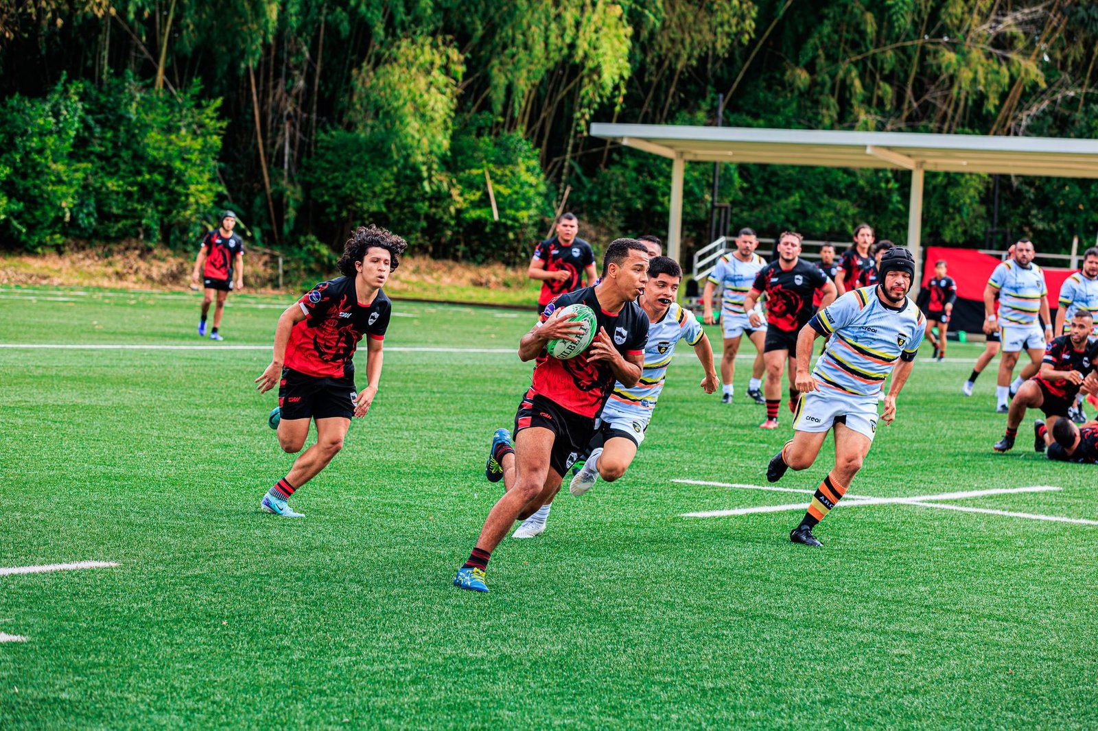 Enjoy Major League Baseball Action from Home