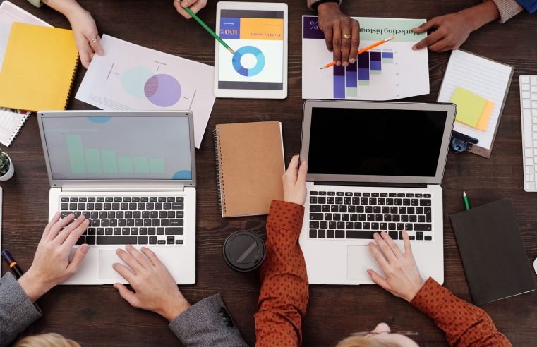 What Options for Website Design You Can Opt for